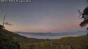 ./images/calvert/fitz-hugh-hecate/20250714/fitz-hugh-hecate20250714_215508M.jpg