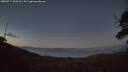 ./images/calvert/fitz-hugh-hecate/20250714/fitz-hugh-hecate20250714_223508M.jpg