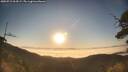./images/calvert/fitz-hugh-hecate/20250715/fitz-hugh-hecate20250715_064509M.jpg