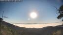 ./images/calvert/fitz-hugh-hecate/20250715/fitz-hugh-hecate20250715_072510M.jpg