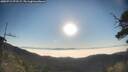 ./images/calvert/fitz-hugh-hecate/20250715/fitz-hugh-hecate20250715_073507M.jpg