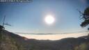 ./images/calvert/fitz-hugh-hecate/20250715/fitz-hugh-hecate20250715_074009M.jpg