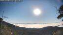 ./images/calvert/fitz-hugh-hecate/20250715/fitz-hugh-hecate20250715_080010M.jpg