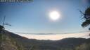 ./images/calvert/fitz-hugh-hecate/20250715/fitz-hugh-hecate20250715_081010M.jpg