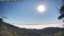 ./images/calvert/fitz-hugh-hecate/20250715/fitz-hugh-hecate20250715_083509M.jpg