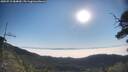 ./images/calvert/fitz-hugh-hecate/20250715/fitz-hugh-hecate20250715_084010M.jpg