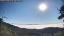 ./images/calvert/fitz-hugh-hecate/20250715/fitz-hugh-hecate20250715_085009M.jpg