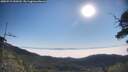./images/calvert/fitz-hugh-hecate/20250715/fitz-hugh-hecate20250715_090510M.jpg