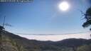 ./images/calvert/fitz-hugh-hecate/20250715/fitz-hugh-hecate20250715_091510M.jpg