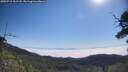 ./images/calvert/fitz-hugh-hecate/20250715/fitz-hugh-hecate20250715_101508M.jpg
