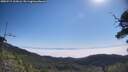 ./images/calvert/fitz-hugh-hecate/20250715/fitz-hugh-hecate20250715_102006M.jpg