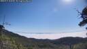 ./images/calvert/fitz-hugh-hecate/20250715/fitz-hugh-hecate20250715_102510M.jpg