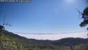 ./images/calvert/fitz-hugh-hecate/20250715/fitz-hugh-hecate20250715_103010M.jpg