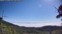 ./images/calvert/fitz-hugh-hecate/20250715/fitz-hugh-hecate20250715_105010M.jpg