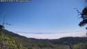 ./images/calvert/fitz-hugh-hecate/20250715/fitz-hugh-hecate20250715_110509M.jpg
