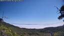 ./images/calvert/fitz-hugh-hecate/20250715/fitz-hugh-hecate20250715_114510M.jpg