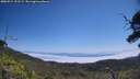 ./images/calvert/fitz-hugh-hecate/20250715/fitz-hugh-hecate20250715_121509M.jpg