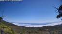 ./images/calvert/fitz-hugh-hecate/20250715/fitz-hugh-hecate20250715_123509M.jpg