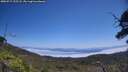 ./images/calvert/fitz-hugh-hecate/20250715/fitz-hugh-hecate20250715_125508M.jpg