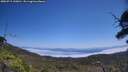 ./images/calvert/fitz-hugh-hecate/20250715/fitz-hugh-hecate20250715_130010M.jpg