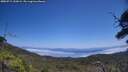 ./images/calvert/fitz-hugh-hecate/20250715/fitz-hugh-hecate20250715_132009M.jpg
