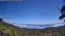 ./images/calvert/fitz-hugh-hecate/20250715/fitz-hugh-hecate20250715_132509M.jpg