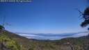 ./images/calvert/fitz-hugh-hecate/20250715/fitz-hugh-hecate20250715_133509M.jpg