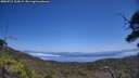 ./images/calvert/fitz-hugh-hecate/20250715/fitz-hugh-hecate20250715_134509M.jpg