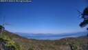 ./images/calvert/fitz-hugh-hecate/20250715/fitz-hugh-hecate20250715_152509M.jpg