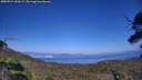 ./images/calvert/fitz-hugh-hecate/20250715/fitz-hugh-hecate20250715_160509M.jpg