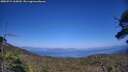 ./images/calvert/fitz-hugh-hecate/20250715/fitz-hugh-hecate20250715_165009M.jpg