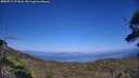 ./images/calvert/fitz-hugh-hecate/20250715/fitz-hugh-hecate20250715_171008M.jpg