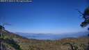 ./images/calvert/fitz-hugh-hecate/20250715/fitz-hugh-hecate20250715_182509M.jpg
