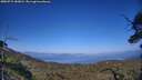 ./images/calvert/fitz-hugh-hecate/20250715/fitz-hugh-hecate20250715_183010M.jpg