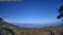 ./images/calvert/fitz-hugh-hecate/20250715/fitz-hugh-hecate20250715_184010M.jpg