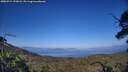 ./images/calvert/fitz-hugh-hecate/20250715/fitz-hugh-hecate20250715_190008M.jpg