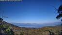 ./images/calvert/fitz-hugh-hecate/20250715/fitz-hugh-hecate20250715_191008M.jpg