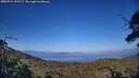 ./images/calvert/fitz-hugh-hecate/20250715/fitz-hugh-hecate20250715_191509M.jpg