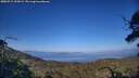 ./images/calvert/fitz-hugh-hecate/20250715/fitz-hugh-hecate20250715_192009M.jpg