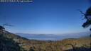 ./images/calvert/fitz-hugh-hecate/20250715/fitz-hugh-hecate20250715_194008M.jpg