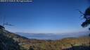 ./images/calvert/fitz-hugh-hecate/20250715/fitz-hugh-hecate20250715_194508M.jpg