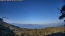 ./images/calvert/fitz-hugh-hecate/20250715/fitz-hugh-hecate20250715_195007M.jpg