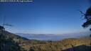 ./images/calvert/fitz-hugh-hecate/20250715/fitz-hugh-hecate20250715_195508M.jpg