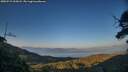./images/calvert/fitz-hugh-hecate/20250715/fitz-hugh-hecate20250715_205008M.jpg