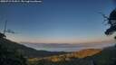 ./images/calvert/fitz-hugh-hecate/20250715/fitz-hugh-hecate20250715_211008M.jpg