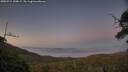 ./images/calvert/fitz-hugh-hecate/20250715/fitz-hugh-hecate20250715_220009M.jpg