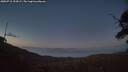 ./images/calvert/fitz-hugh-hecate/20250715/fitz-hugh-hecate20250715_223009M.jpg