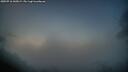 ./images/calvert/fitz-hugh-hecate/20250716/fitz-hugh-hecate20250716_045009M.jpg