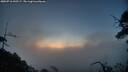 ./images/calvert/fitz-hugh-hecate/20250716/fitz-hugh-hecate20250716_045509M.jpg