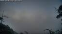 ./images/calvert/fitz-hugh-hecate/20250716/fitz-hugh-hecate20250716_050009M.jpg
